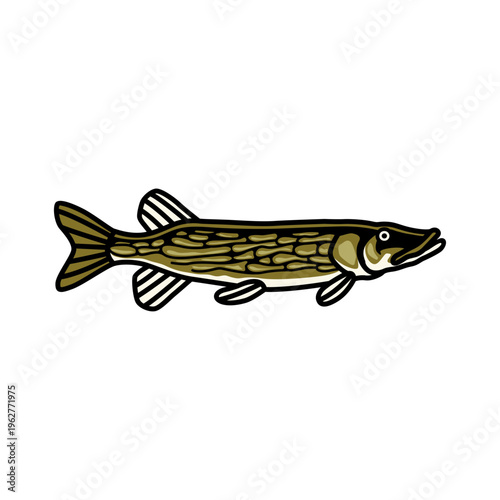 Chain Pickerel Fish Cartoon Vector Illustration