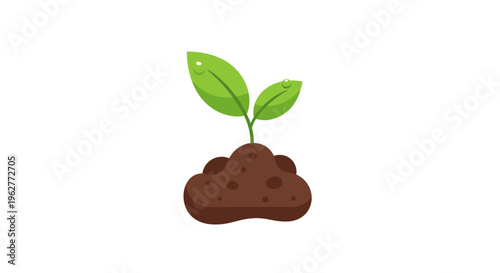 Small green plant growing in soil.