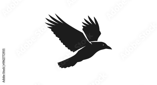 Black silhouette of a flying bird.