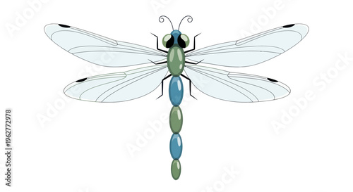 Large Dragonfly with Green Body.