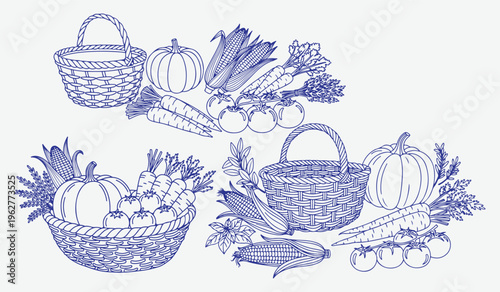 Vegetable harvest vector illustration with wicker baskets corn pumpkins carrots and tomato.