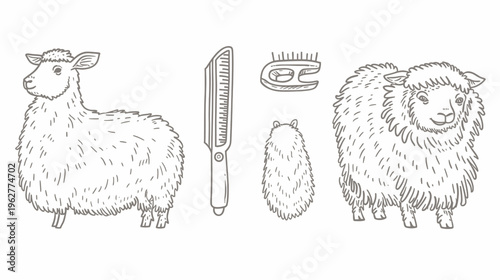 Doodle-style illustration of sheep and grooming tools, in a simple line drawing style