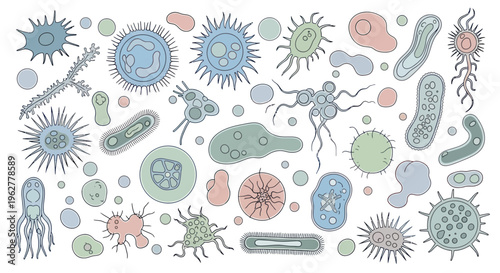 Various microscopic bacteria and viruses.