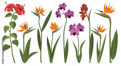 Colorful flowers on green stems.