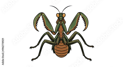 Green Praying Mantis Insect Closeup.