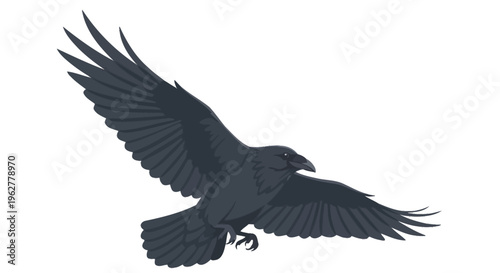 Large Black Bird in Flight Wings.