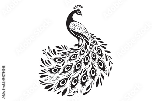 Peacock Bird Illustration vector