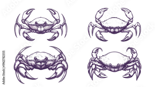 Four stylized crabs, viewed from above, rendered in dark line art on a white background