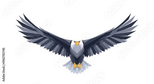 Bald Eagle in Flight Spread Wings.