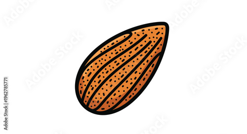 Detailed drawing of a single brown whole almond nut shows the characteristic texture and shape of this popular healthy snack.