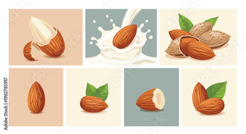 Diverse grid of almond nut illustrations includes whole nuts, shelled kernels, almond milk splashes, and leaves on varied backgrounds.
