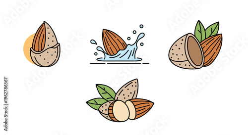 Set of four almond icons including a whole nut, a nut in water splash, and groups with green leaves on white.