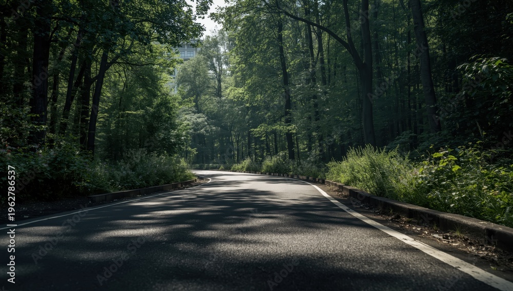 Fototapeta premium View of asphalt road from a low angle