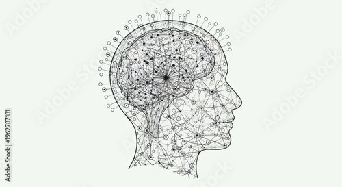 Brain Inside Human Head Profile View.