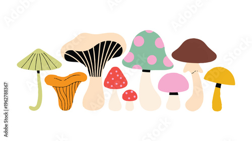 Mushroom Variety Illustration: A delightful illustration featuring a diverse array of mushroom species, showcasing their unique shapes, sizes, and colors in a charming arrangement.