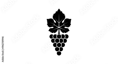Black Silhouette of Grapes and Leaf on White Background, Winery Emblem