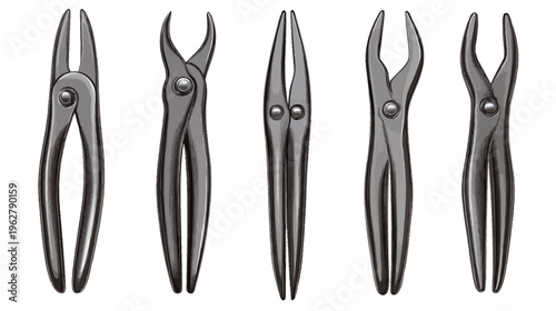 Five variations of metallic dental extraction tools, rendered in a grayscale style, on a white background