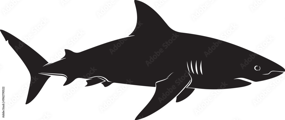 Fototapeta premium Black Shark Silhouette Swimming in Oceanic Waters Freely Alone