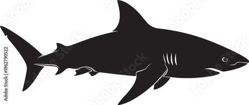 Black Shark Silhouette Swimming in Oceanic Waters Freely Alone