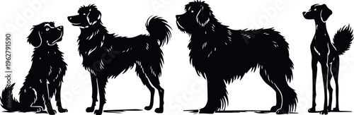 Four distinct silhouetted dogs showcasing diverse breeds and stances in a striking black and white contrast composition