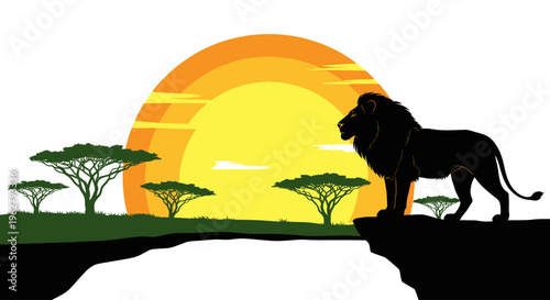 Silhouette of a male lion standing.