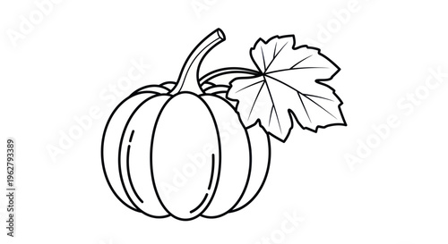 A single orange pumpkin with leaf.
