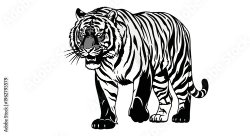 Black and white tiger standing still.