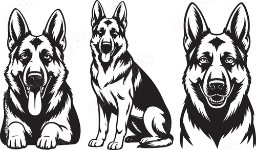 German shepherd dog portraits collection featuring different poses for pet lovers and kennel designs