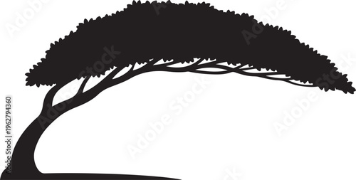 Black Silhouette of a Tree on White Background Illustration