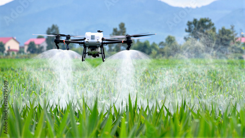 Canvastavla Agricuture drone in corn field