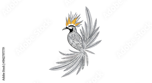 Colorful Bird with Large Crest Feathers.