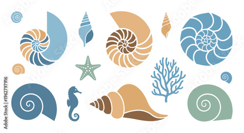 Collection of various seashells and marine.