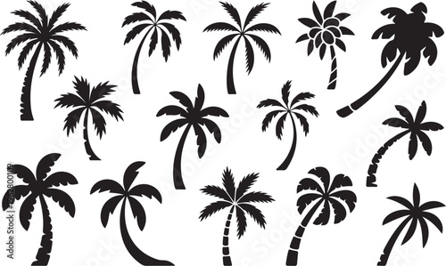 Set of palm tree silhouettes on transparent background for summer and vacation designs