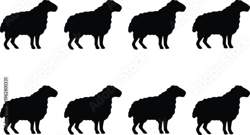 Eight black silhouette icons of sheep standing side by side on a white background, representing livestock and agriculture.