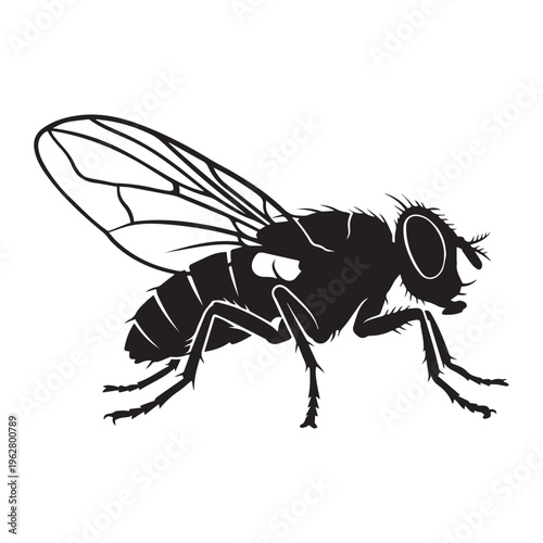 Sitting Insect house fly Icon Silhouette vector black design on a white background