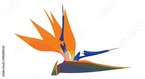 Colorful Bird in Flight Profile.