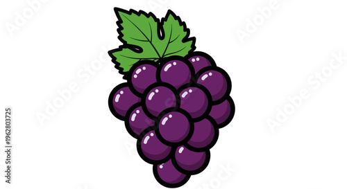 A bunch of purple grapes illustration.