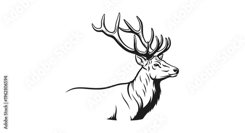 Majestic deer with large antlers vector illustration