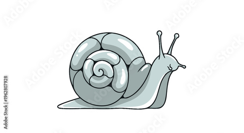 Gray Snail Shell Animal Side View.