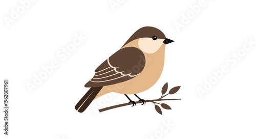 Brown and beige small bird.