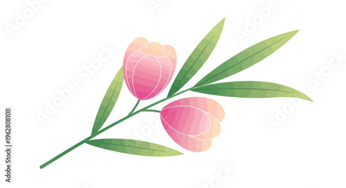 Pink Tulips on Green Stem.