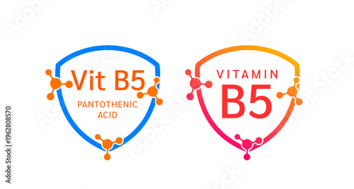 Vitamin B5 shield icon collection for product label design. Pantothenic Acid molecule form simple line. Isolated on a white background. Medical symbol concept. Vector EPS10 illustration.