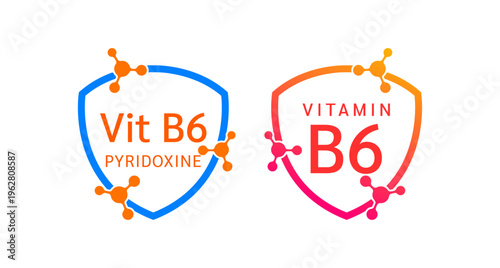 Vitamin B6 shield icon collection for product label design. Pyridoxine molecule form simple line. Isolated on a white background. Medical symbol concept. Vector EPS10 illustration.