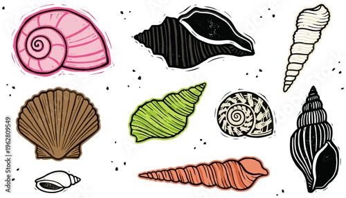 A collection of colorful and monochrome seashells in various shapes and sizes presented in a graphic illustration style ocean beach marine summer nature collectible pattern