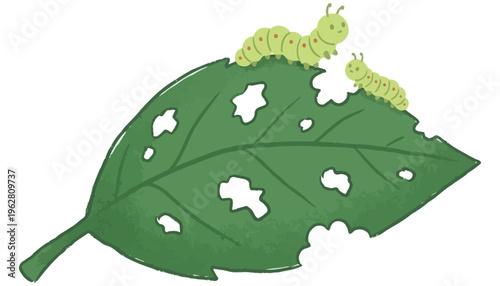 Two cute cartoon caterpillars crawling on a green leaf with holes and jagged edges illustrating nature's cycle insect eating animal small food garden pest infestation larva