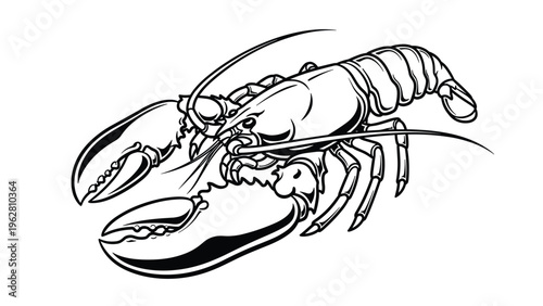 Detailed black and white line drawing of a lobster with its large claws and long antennae very clearly visible.