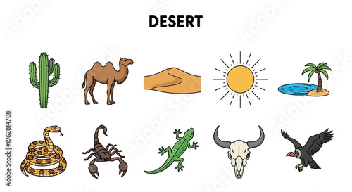 Desert Animals and Plants Ecosystem.