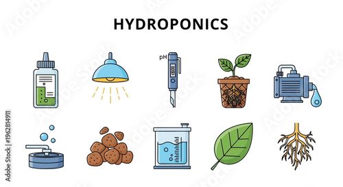 Hydroponics system with plants and equipment.