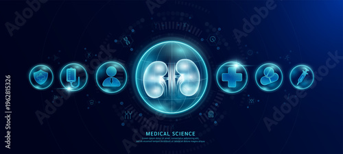 Science medical banner dark blue. Kidney hologram in transparent spherical dome along with the icons of a doctor plus sign and syringe. Vector EPS10.