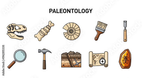 Paleontology Fossil Hunting Tools Icons Set.